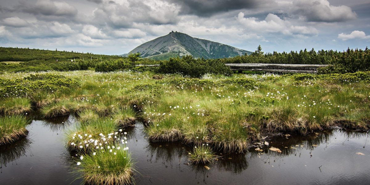A,Cloudy,Summer,Day,On,A,Mountain,Ridge,On,A